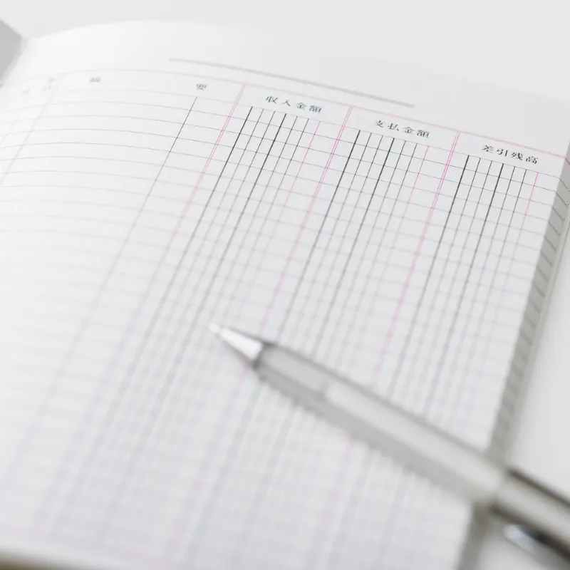 Accounting ledger management