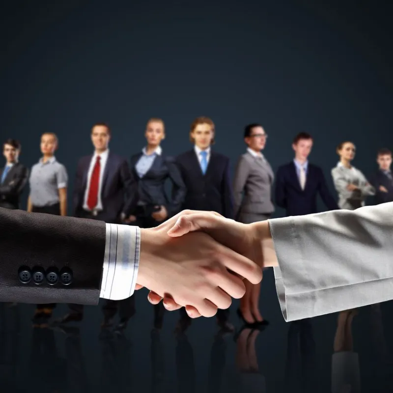 Business partnership services